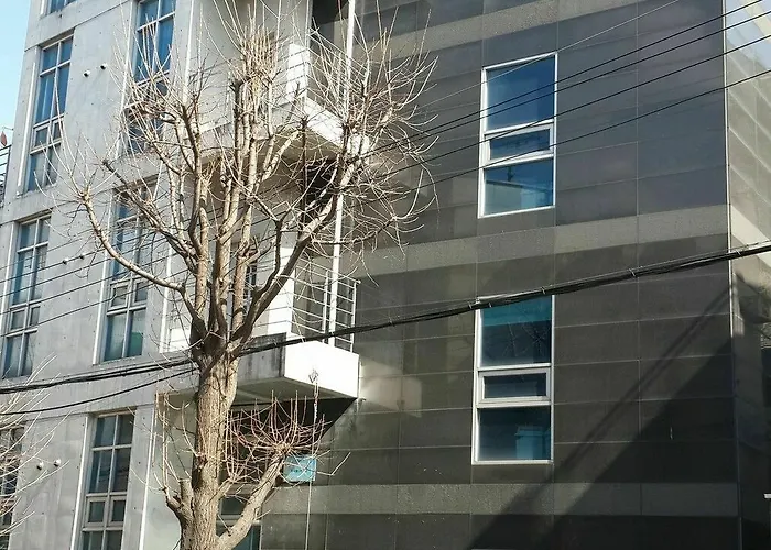 Best Residence For Solo